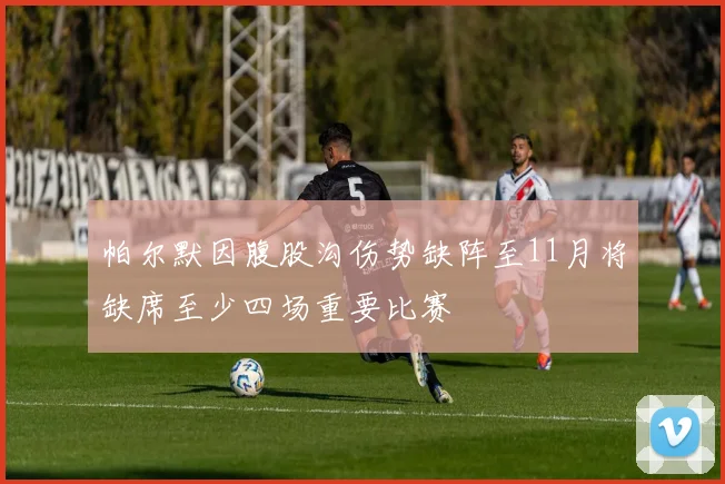 帕尔默因腹股沟伤势缺阵至11月将缺席至少四场重要比赛